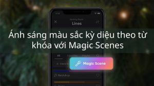 magic sence 1