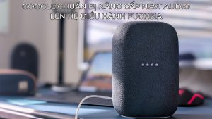 Nest Audio Fuchsia 3
