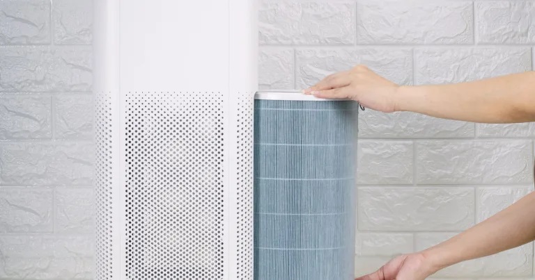 Hướng dẫn chi tiết cách thay thế lõi lọc cho máy lọc không khí Levoit 3 thay the bo loc khong khi levoit