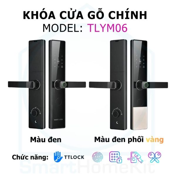 TLYM6 mau moi 8